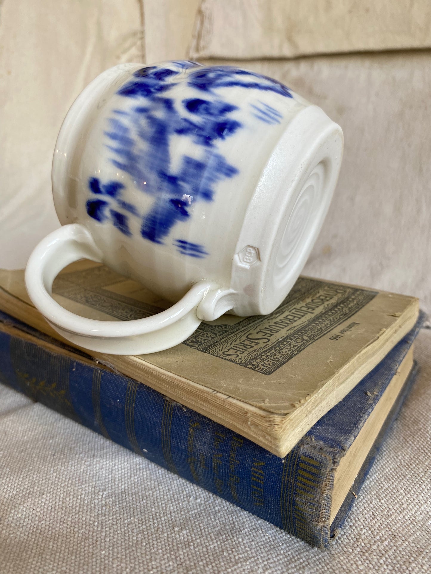 Blue and White Mug