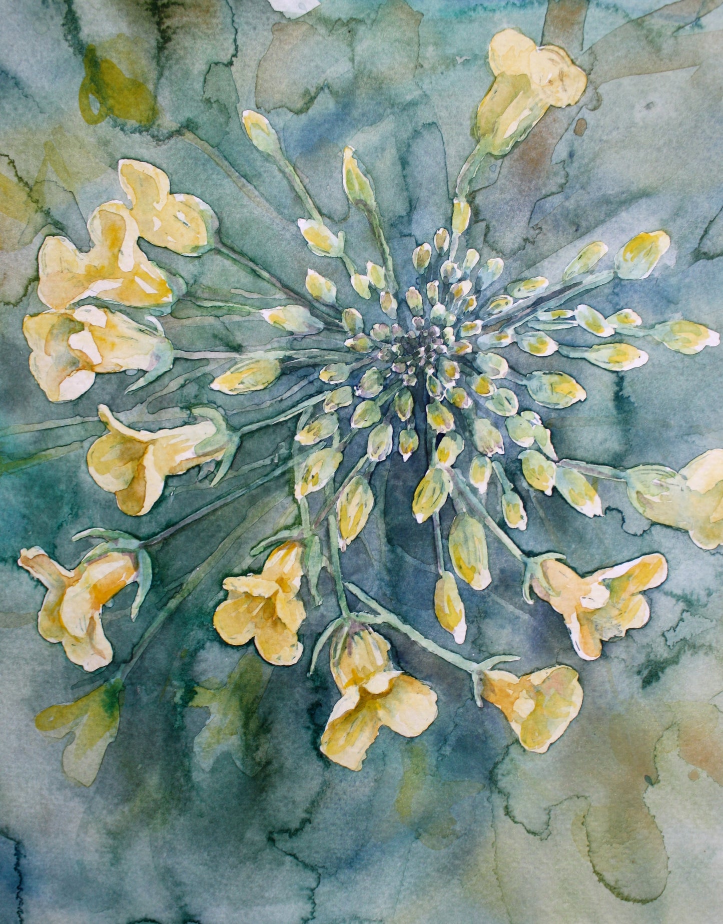 Adult Watercolor Workshop